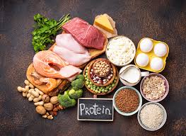 Proteinler